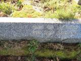 image of grave number 709884